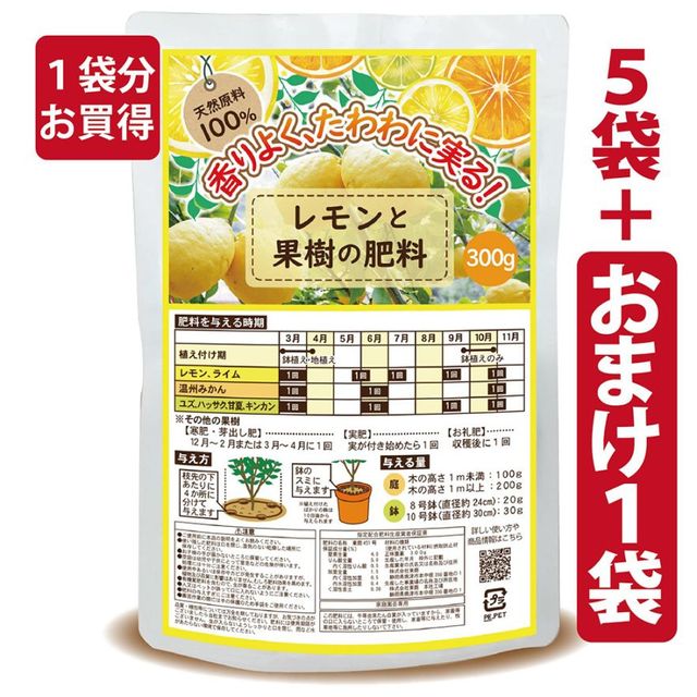 ����Ȳ̼���������300���5�ޡܤ��ޤ�1�ޡۡ�����̵���ۡ�������