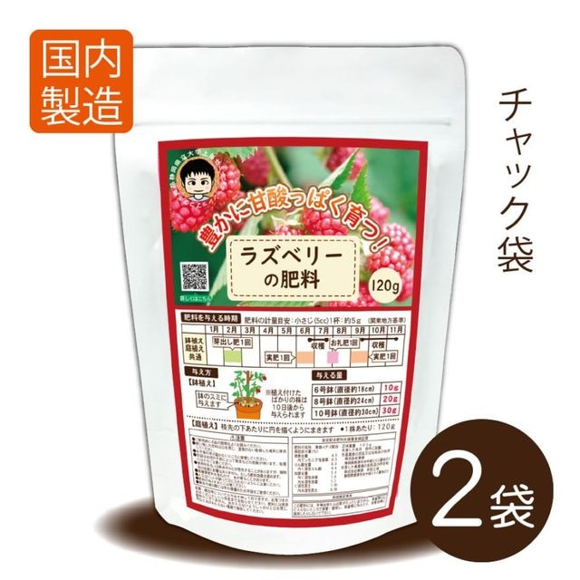 �饺�٥꡼��������120���2������