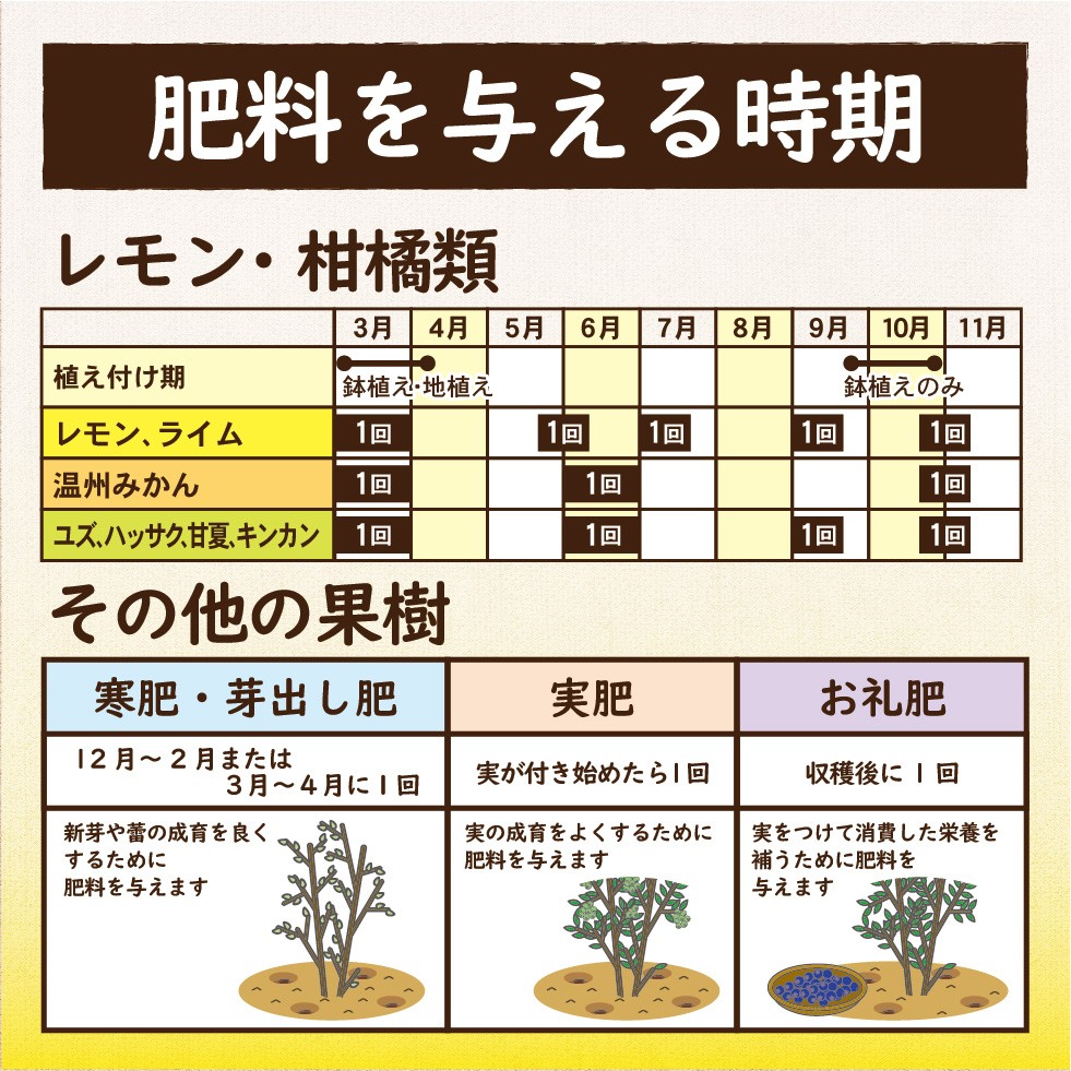 ����Ȳ̼���������300g��2������