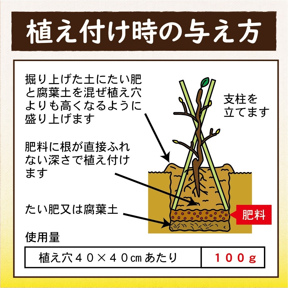 ����Ȳ̼���������300g��2������