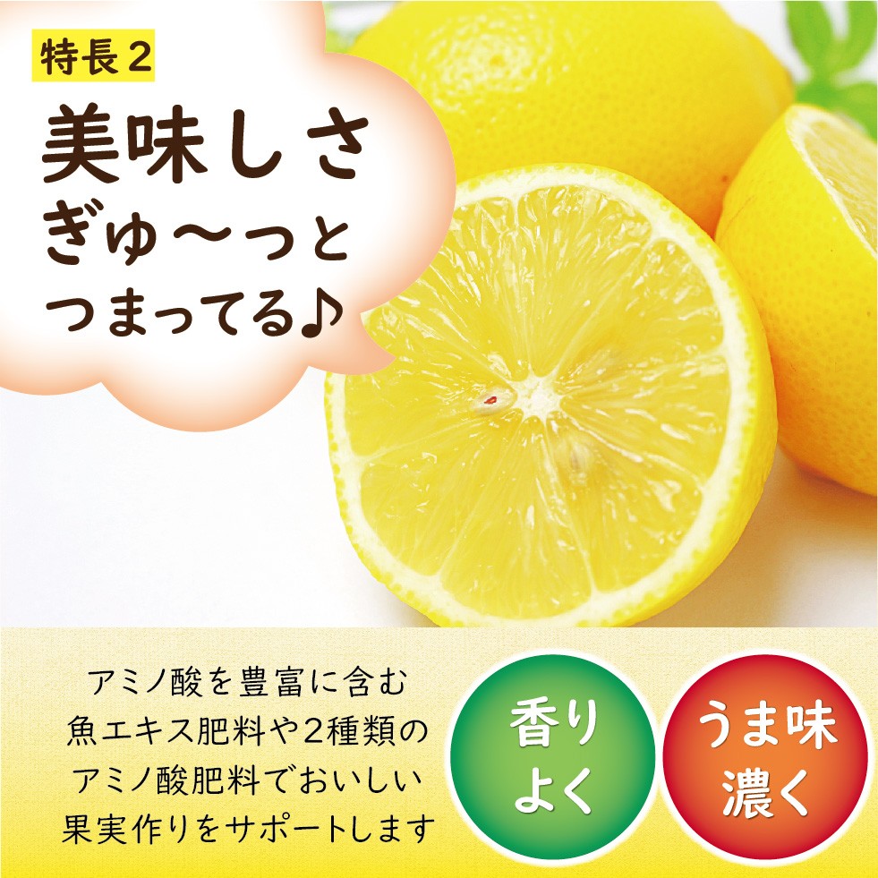 ����Ȳ̼���������300g��2������