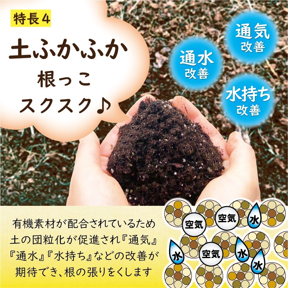 ����Ȳ̼���������300g��2������