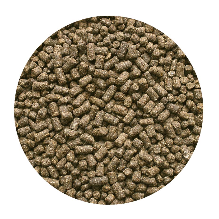 �̼������ڤ�������500g