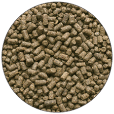 Ȱ������������γ��4kg