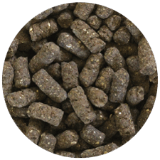 �饤����������120g��2������