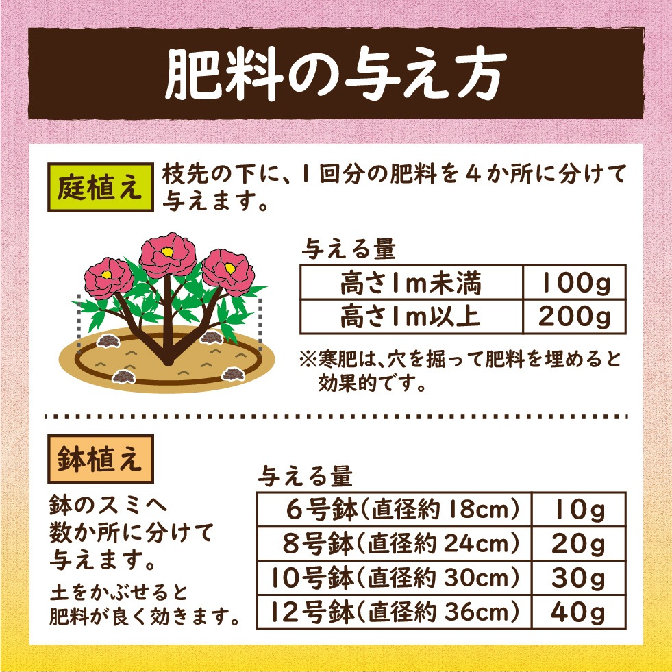 ��ð��������������200g��2������