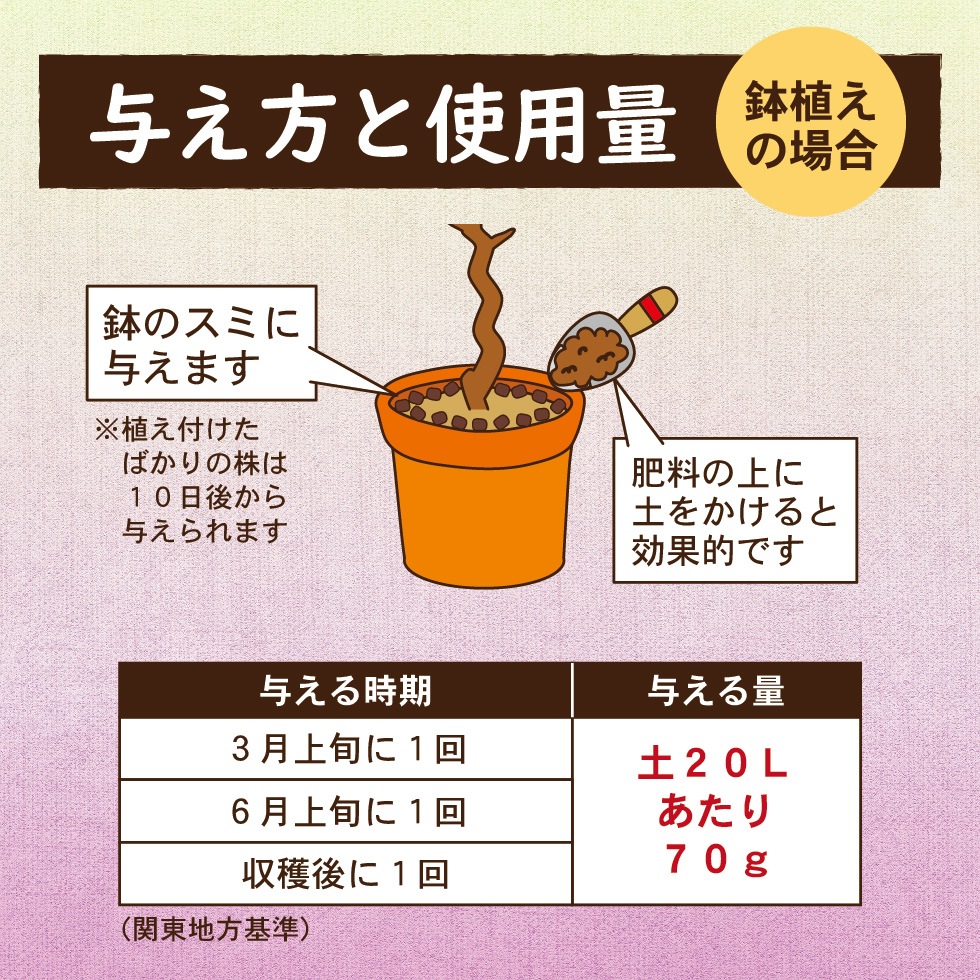 �֥ɥ���������250���2������
