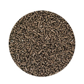 �˥󥸥��������120��