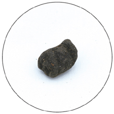 ��������������100g