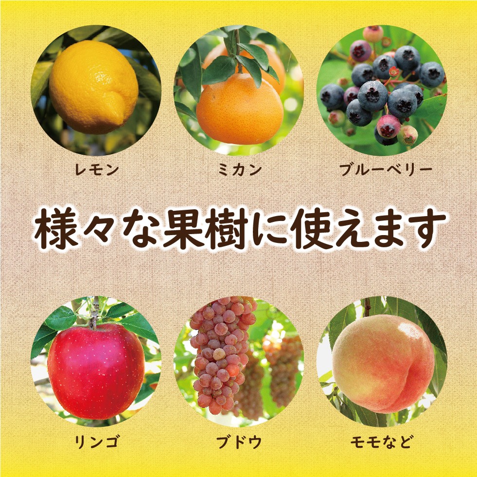 ����Ȳ̼���������300g