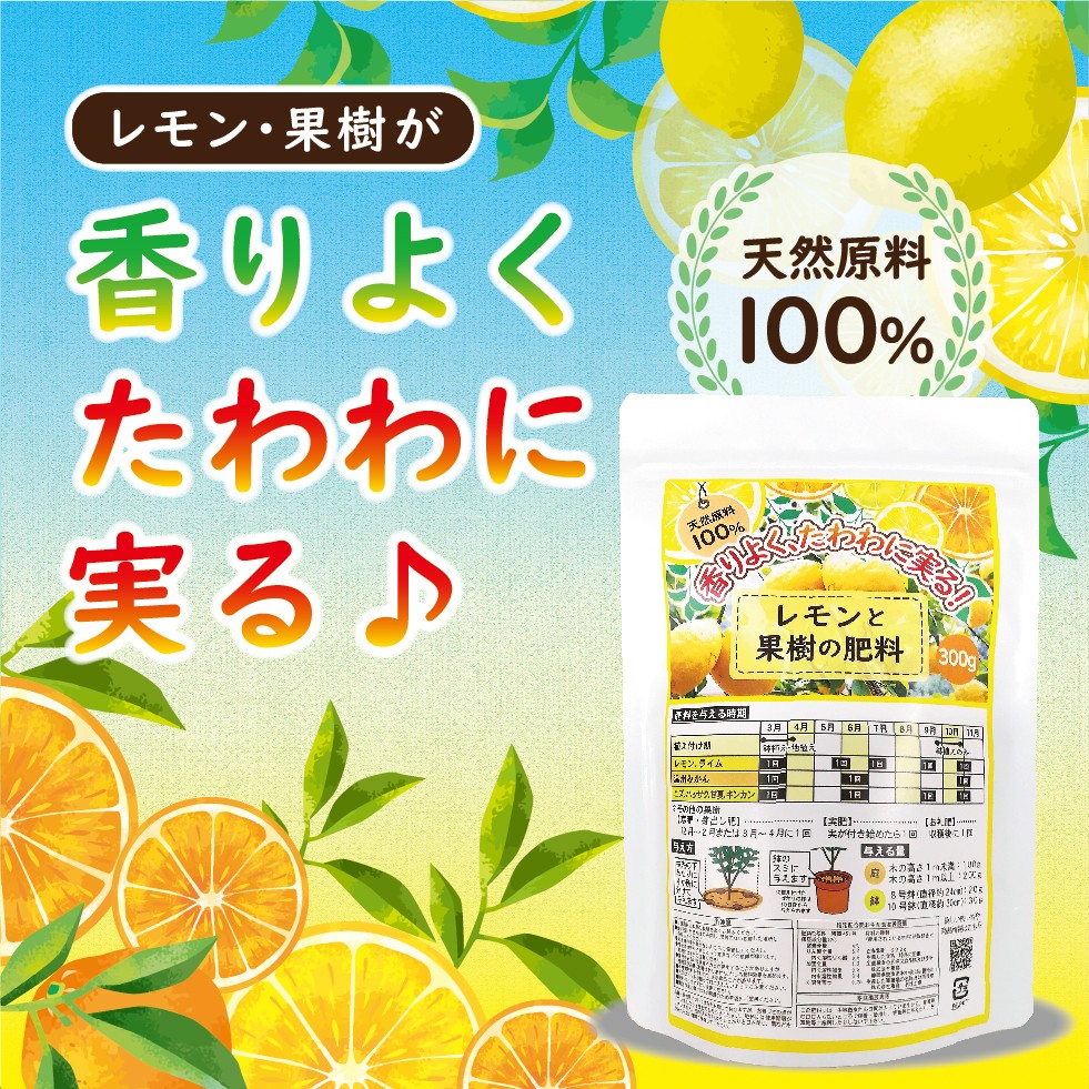 ����Ȳ̼���������300g