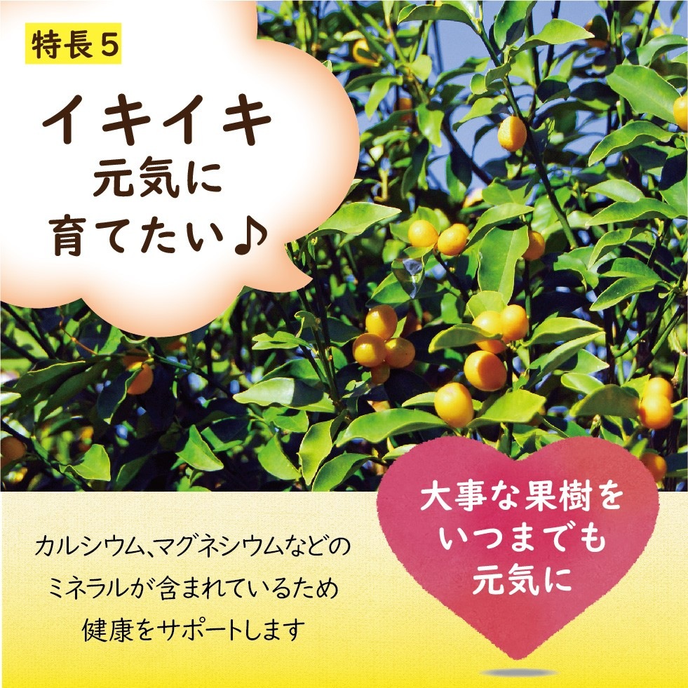 ����Ȳ̼���������300g