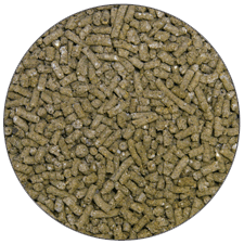 ��ƤΤ��ޤ�2kg