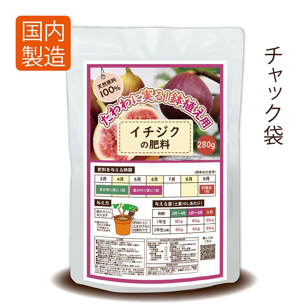 好評 いちじく イチジク 穂木 問い合わせ 結実確認済品種 果樹