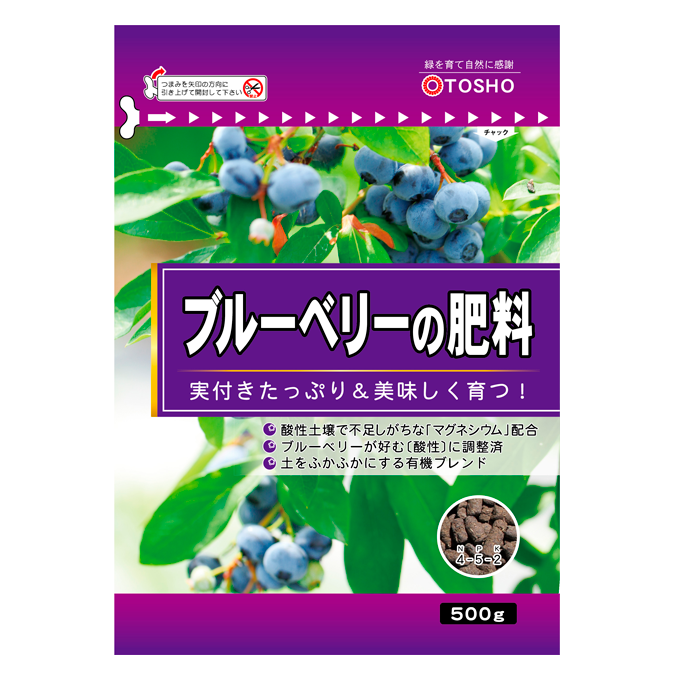 �֥롼�٥꡼��������500g