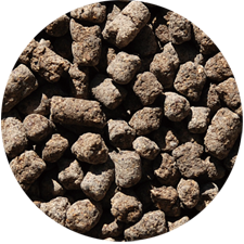 �֥롼�٥꡼��������500g