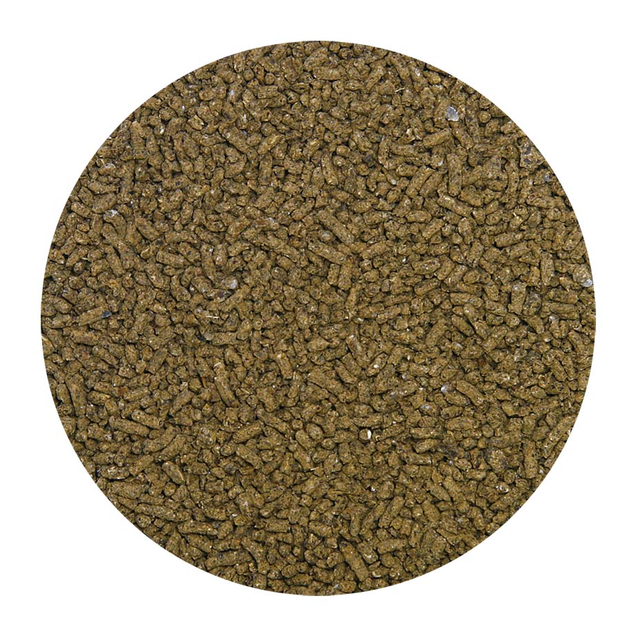 ������������500g