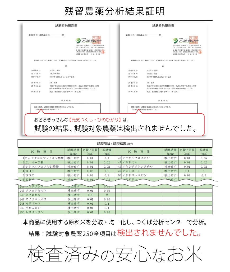 [����]����7ǯ�� ʡ�������ҤΤҤ��ꡡ[��A�ơ���α�����Ը���]����amazon pay�Ȥ��ޤ�����