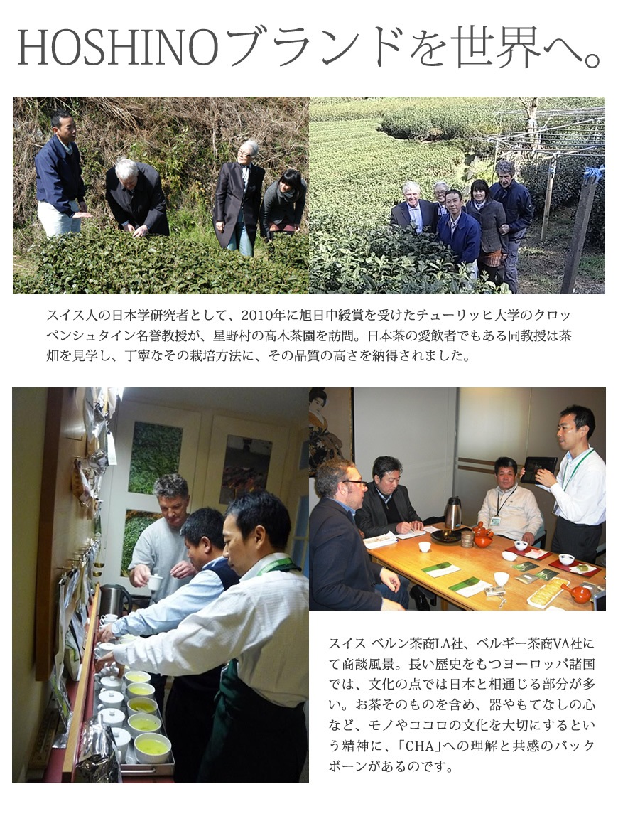 2025ǯ�� ��Ȭ�������� �������ο�������������amazon pay�Ȥ��ޤ�����