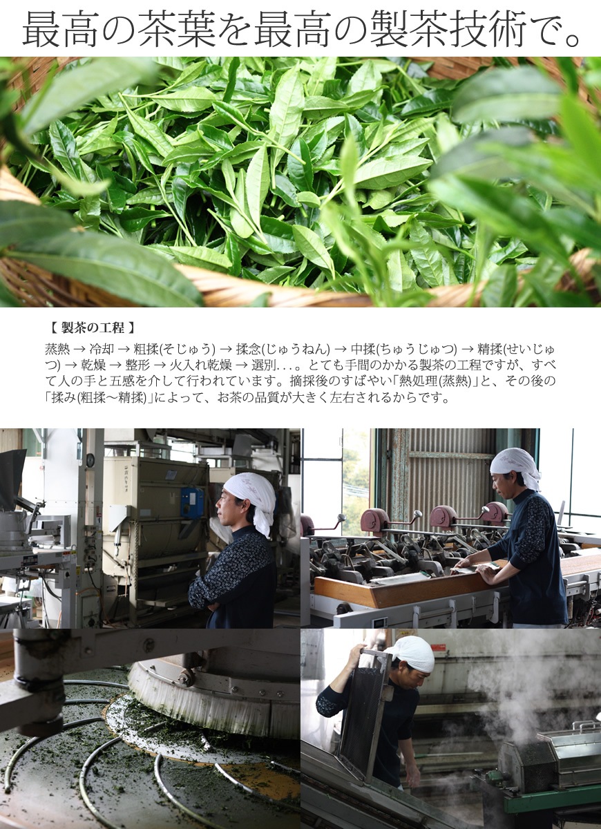 2025ǯ�� ��Ȭ�������� �������ο�������������amazon pay�Ȥ��ޤ�����