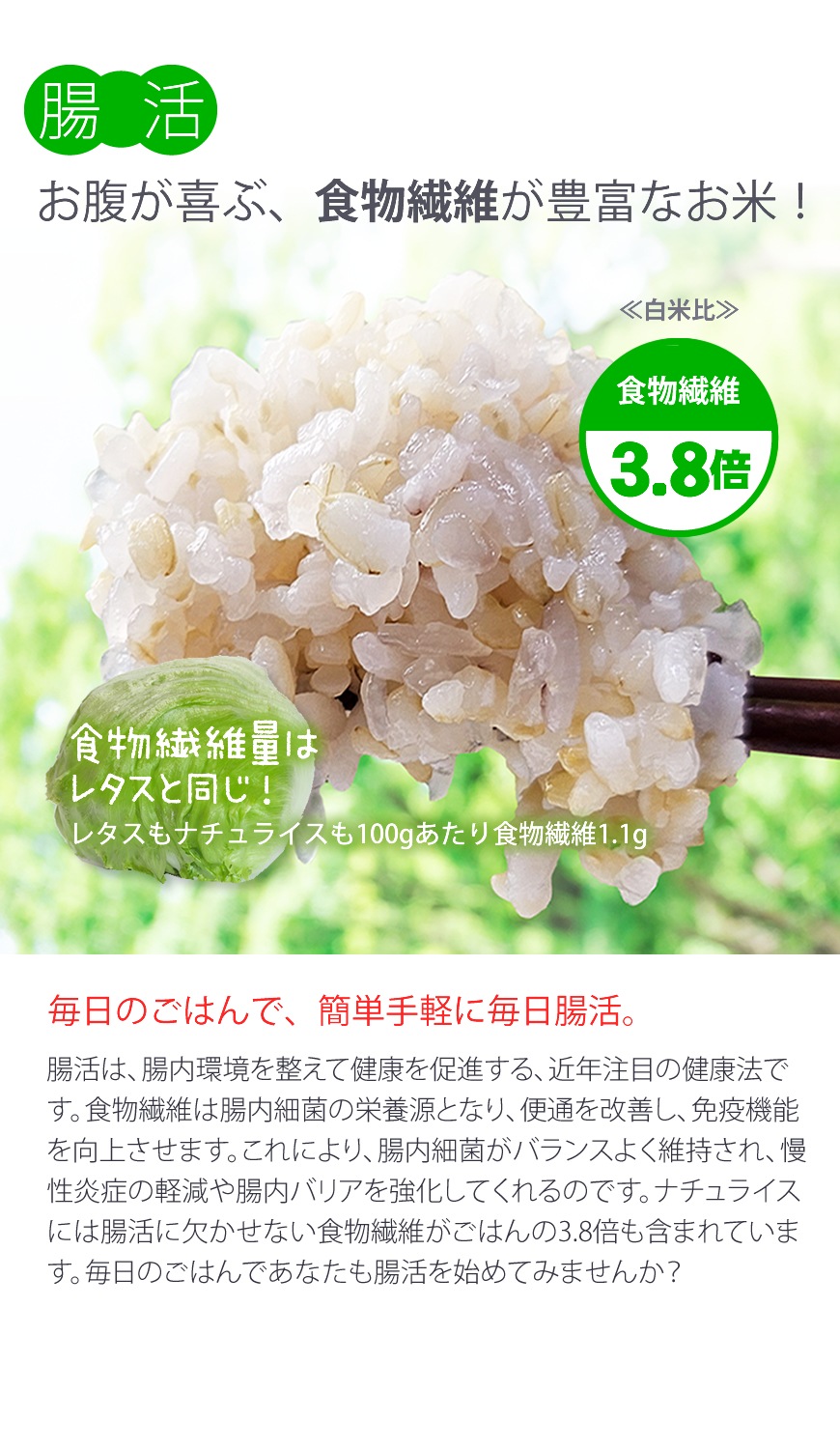 ʥ饤ˡamazon payȤޤ