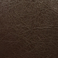 Z53 / ΢�ѹ��顡��ͭ�� / �������֥饦�� ��10��49m / 5%OFF��