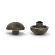 E19 / ���̾��ꥫ���� 10mm / AT����30�ġ�