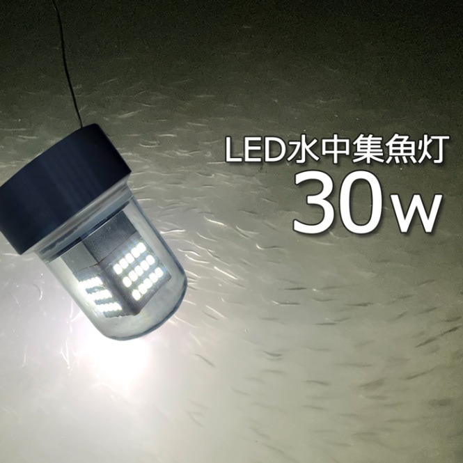 【2個セット】水中集魚灯 集魚ライト 水中ライト 白光 ホワイト 30W  ledライト しらすうなぎ イカ釣り 12v24v LED集魚灯 仕掛け