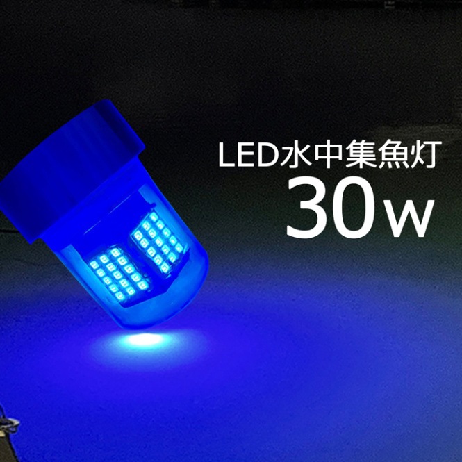 水中集魚灯 集魚ライト 水中ライト  青 ブルー 30W しらすうなぎ イカ釣り 12v24v LED集魚灯 夜釣り アジ メバル タチウオ 漁
