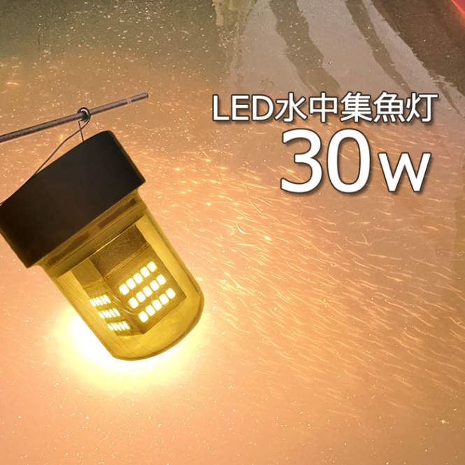 水中集魚灯 集魚ライト 水中ライト 黄色光 イエロー 30W しらすうなぎ イカ釣り 12v24v LED集魚灯 夜釣り アジ メバル タチウオ 漁