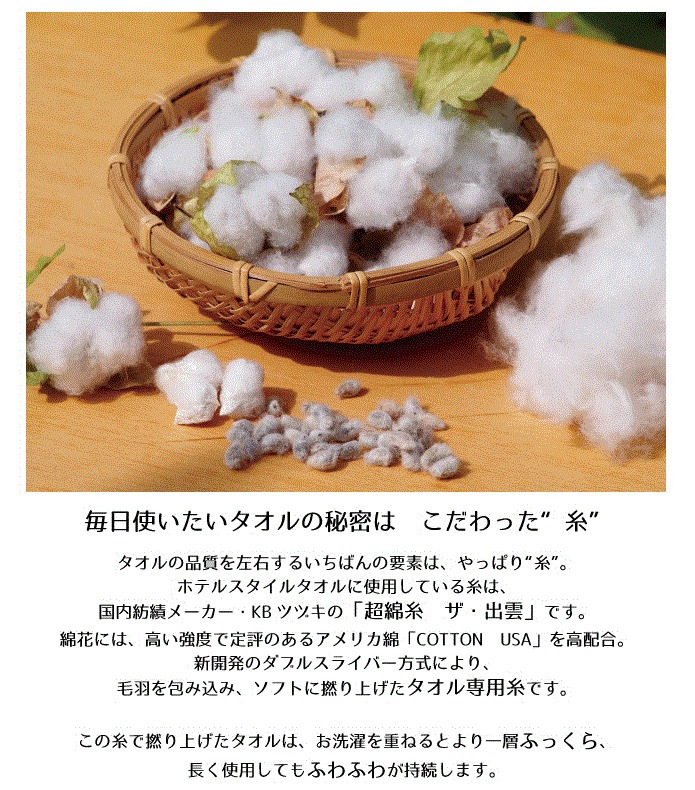 ������ �ۥƥ륹������ ǻ�� ��Ƚ�Х������� Ʊ��2�祻�å� ����������