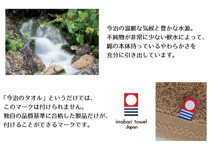  ԥ奢顼ǲ꥿ ϥɥ 10祻å