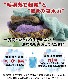 ������̵���� ������ �ۥƥ륹�����륿���� �դ�դ諒�ե� �Х������� ���٤�5�祻�å� ����������