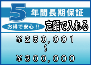 ƥǯֱĹݾڡʾʡǹ 250,001300,000ߡˡentyouhosyo-15500