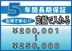 ƥǯֱĹݾڡʾʡǹ 200,001250,000ߡˡentyouhosyo-12500