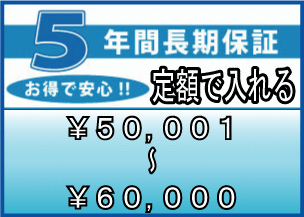 ����ƥ�����ǯ�ֱ�Ĺ�ݾڡ��ʾ��ʡ��ǹ����� 50,001��60,000�ߡˡ�entyouhosyo-3200