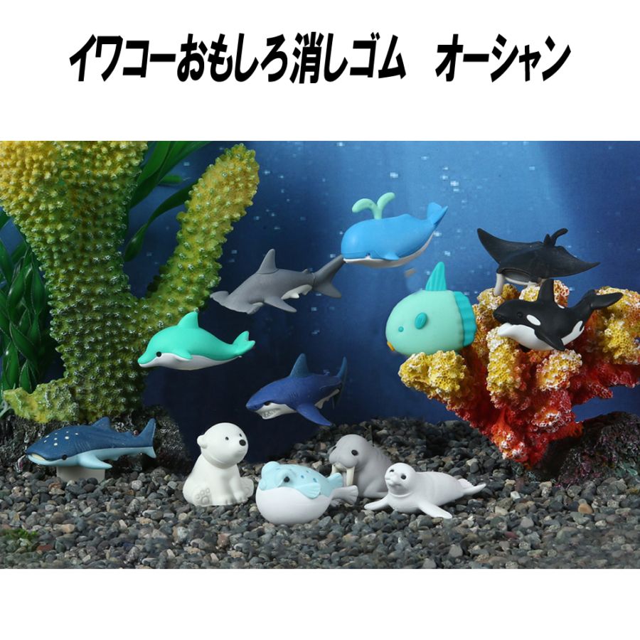 【イワコーおもしろ消しゴム】『オーシャン』＜12種アソート＞☆日本製☆～グリーンBOX60個入り～