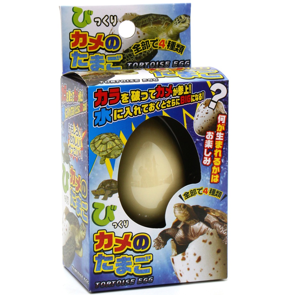 【おもちゃ・景品】『びっくり カメのたまご』<4種>