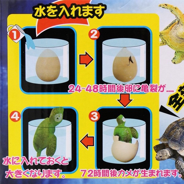 【おもちゃ・景品】『びっくり カメのたまご』<4種>