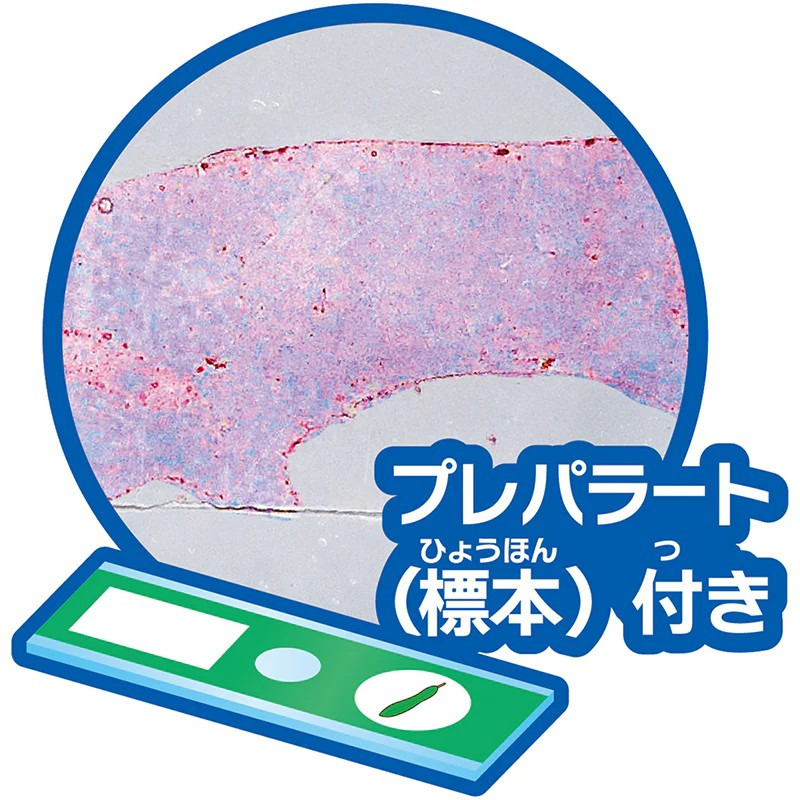 【おうちでできる実験キット】『ペットボトルスコープ』