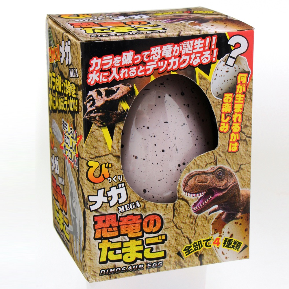 恐竜のたまご Amazon | 【3DpuZZle】立体パズル 恐竜のタマゴ 4個セット (C41