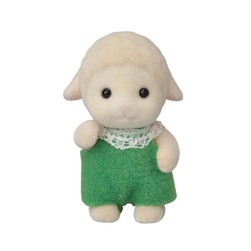 ピルドアベア ひつじ 羊 ヒツジ販売 - ペットショップRicky /珍獣エキゾチックアニマル