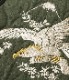 Lot No. BR15586 / "SUKA" EMBROIDERY VEST