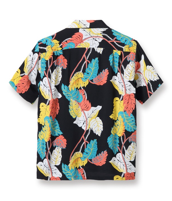 Lot No. DK36203 / DUKE KAHANAMOKU SPECIAL EDITION MONSTERA