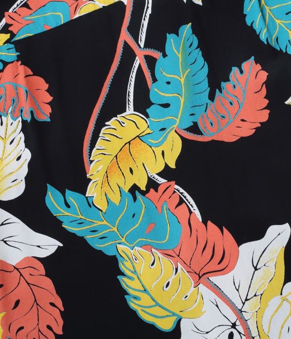 Lot No. DK36203 / DUKE KAHANAMOKU SPECIAL EDITION MONSTERA