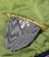Lot No. TT15198-145 / Early 1950s Style Acetate �� Quilt Souvenir Jacket ��KOSHO & CO.�� Special Edition ��JAPAN MAP�� �� ��TIGER PRINT��