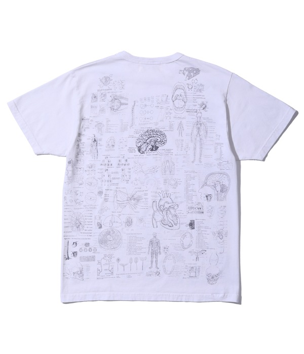 Lot No. SC78985 / FICTION ROMANCE TEST ANSWER T-SHIRT ��BLINDED BY SCIENCE��