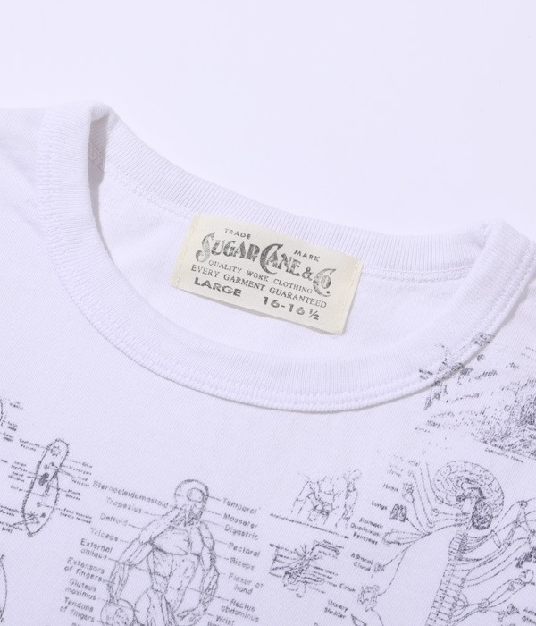 Lot No. SC78985 / FICTION ROMANCE TEST ANSWER T-SHIRT ��BLINDED BY SCIENCE��