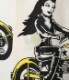 Lot No. SH38376 / BROAD COTTON OPEN SHIRT ��THE WILDCAT GIRLS�� by VINCE RAY