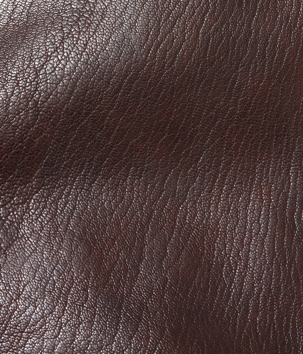 Lot No. BR80661 / Type AN6552 ��AMERICAN SPORTSWEAR CO.��